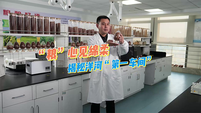 HJC黄金城·(中国区)集团官方网站