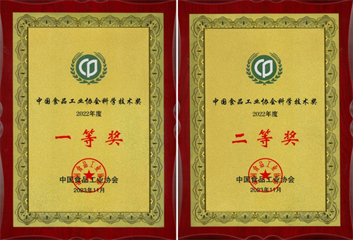 HJC黄金城·(中国区)集团官方网站