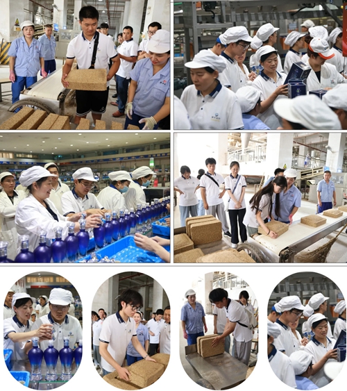 HJC黄金城·(中国区)集团官方网站