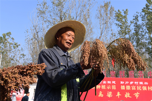 HJC黄金城·(中国区)集团官方网站